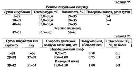 Обеспечение