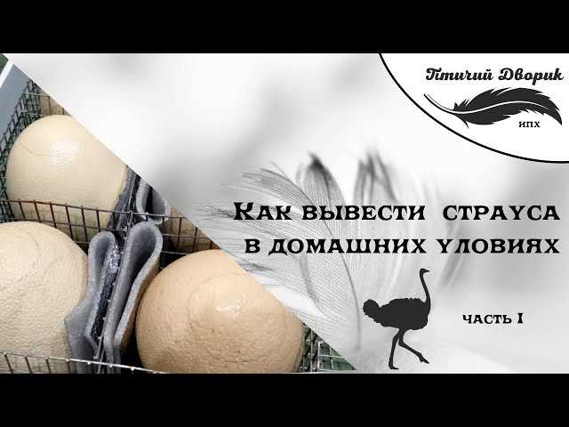 Значимость