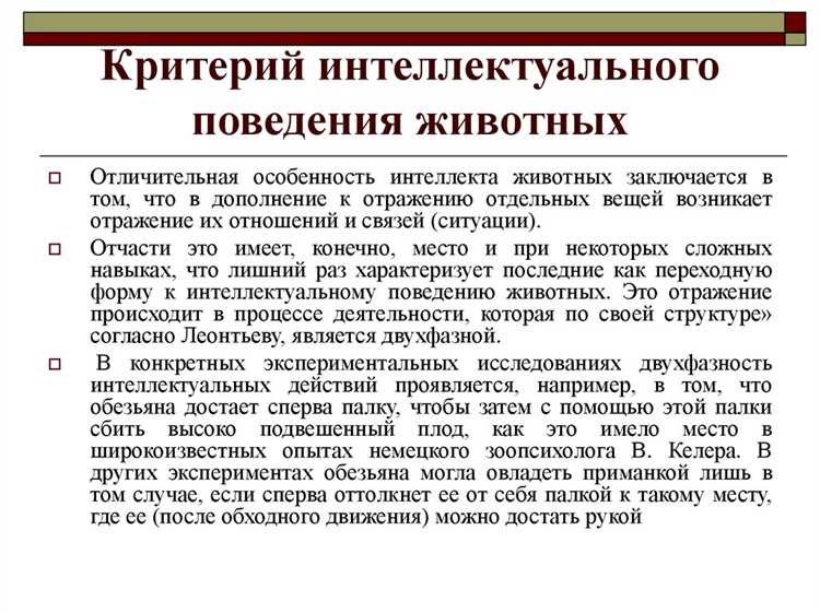Многообразие