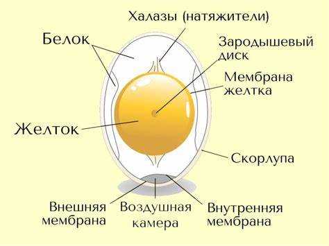 Методы