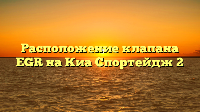 Расположение клапана EGR на Киа Спортейдж 2