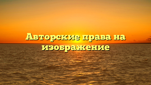 Авторские права на изображение